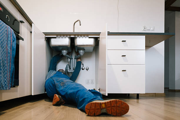 Professional Plumbing technician working in La Rose, IL